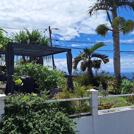 Le Cocon De Madana Lägenhet Saint-Joseph Exteriör bild